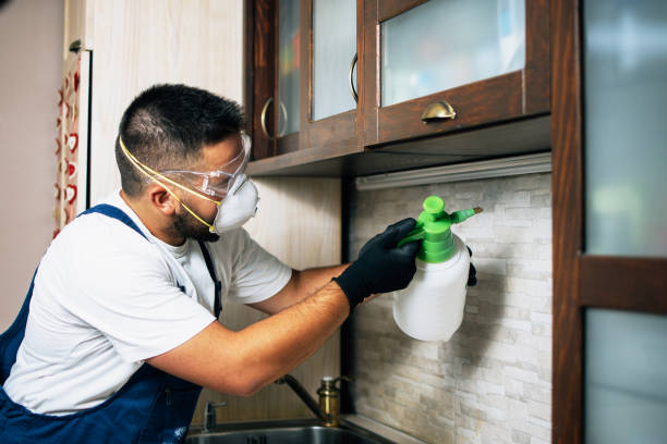 Wildlife Control Services in Forest Lake, IL