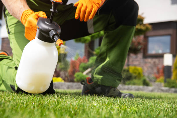 Best Rodent Control Near Me  in Forest Lake, IL