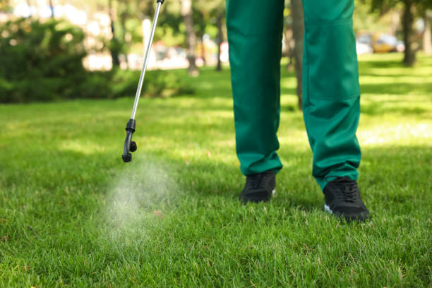 Best Best Pest Control Companies  in Forest Lake, IL