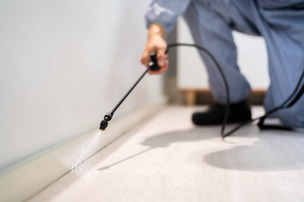 Pest Control for Restaurants in Forest Lake, IL