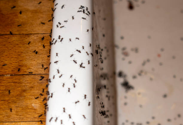 Forest Lake, IL Pest Control Company