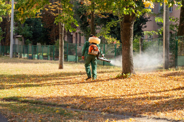 Bird Control in Forest Lake, IL