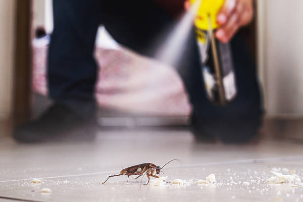 Best Termite Control Services  in Forest Lake, IL