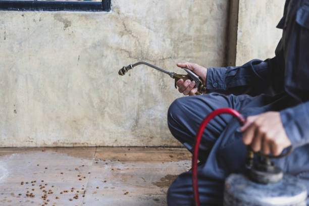 Best Wasp Removal Services  in Forest Lake, IL